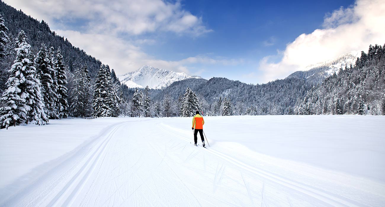 Cross-country skiing trail between snowy trees with a cross-country skier in the middle