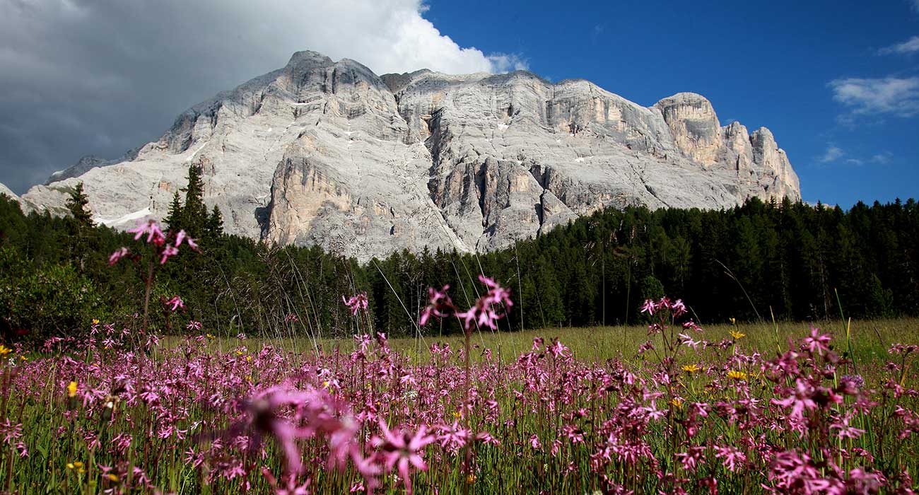 Südtirol hotel angebote